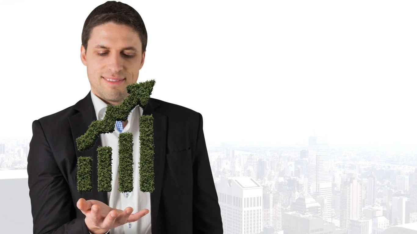 Special Investment Regions