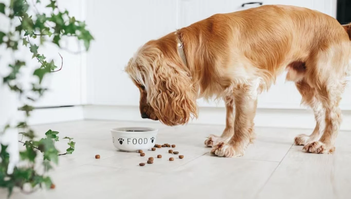 Pet Nutrition Alliance
