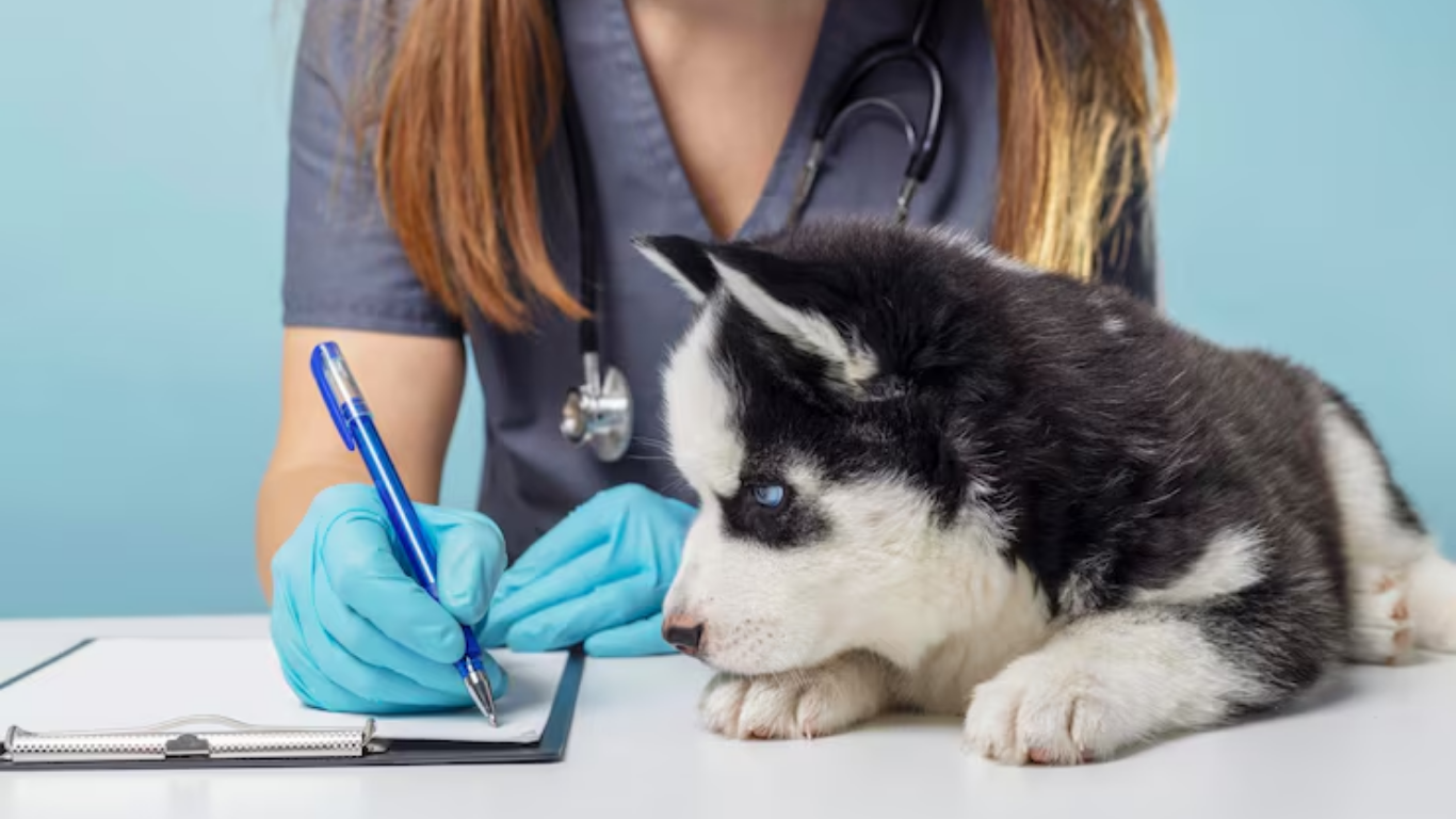 puppy vaccination schedule