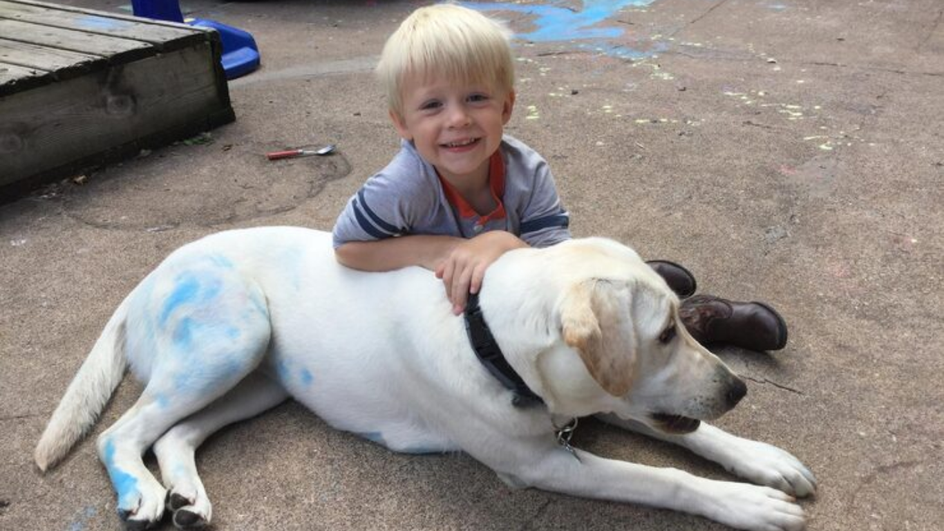 dogs for down syndrome